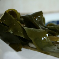 Живые водоросли Ламинария для обертываний SPA Альганика (1 кг)